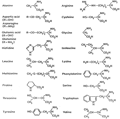 Formulas