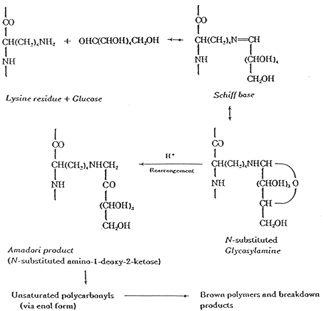 Formulas