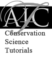 FAIC Conservation Science Tutorials