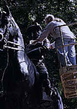 RoughRider.jpg (135047 bytes)