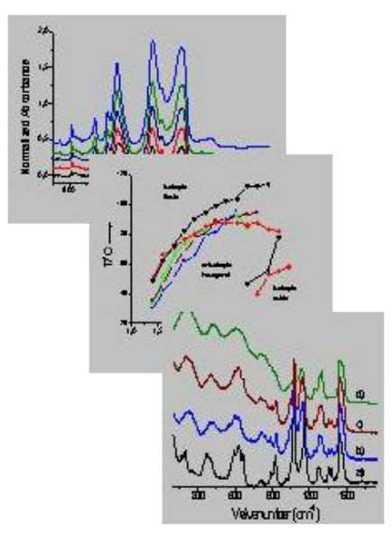 Image of different graphs