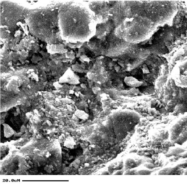 SEM image of the surface of a brick from Kavenaugh and Wheeler (2003)