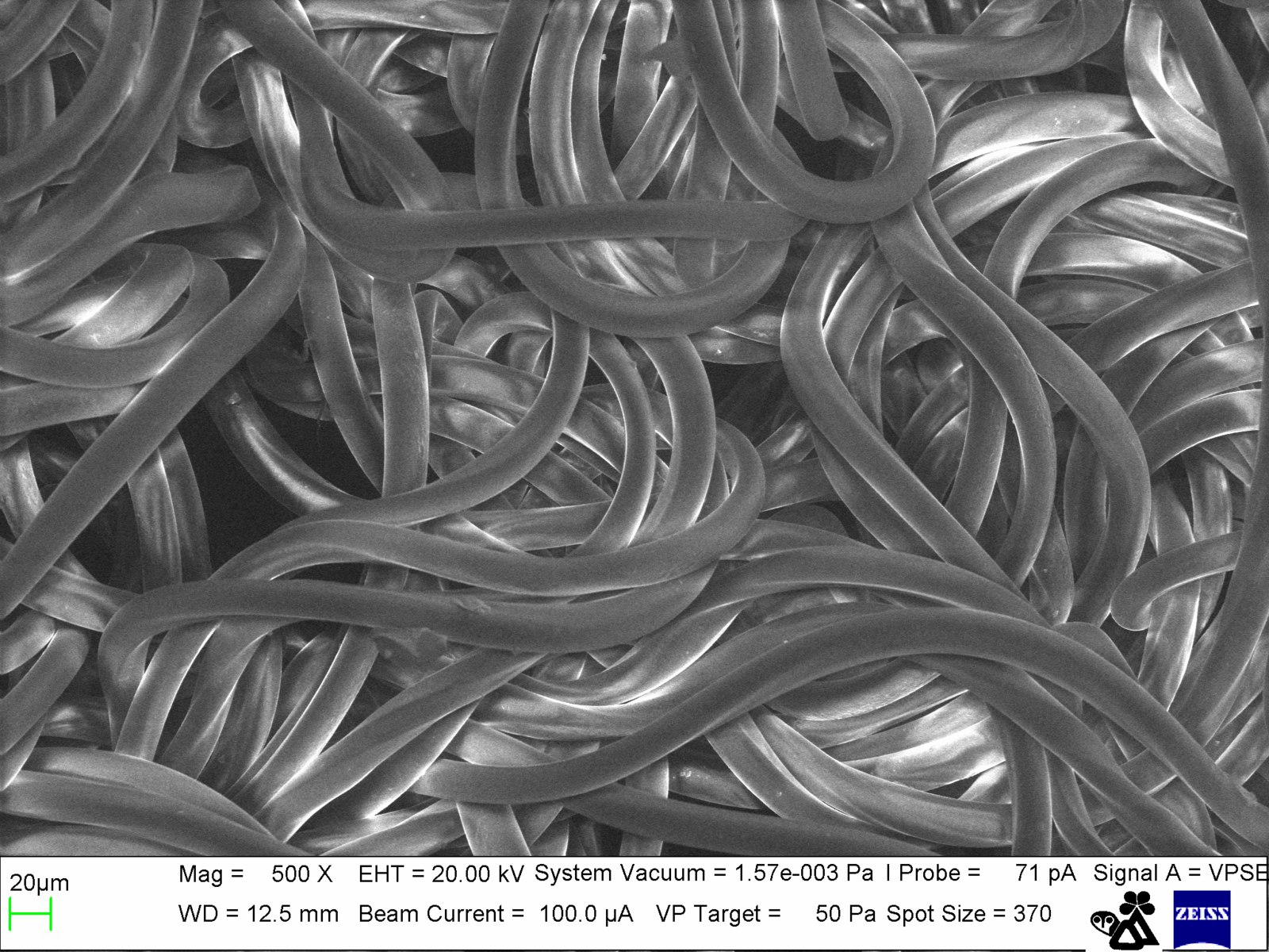 SEM image of smooth uniform nylon fibers at 500x magnification. Image from Nicola Angeli at MUSE of Trento, Italy.