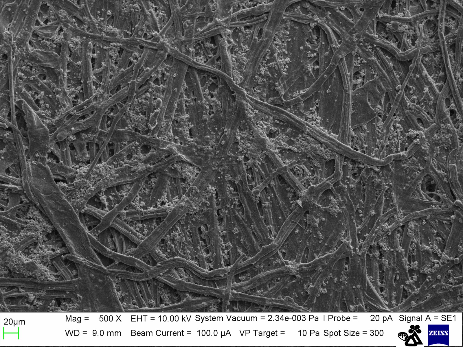 SEM image of irregular 'collapsed tube' filter paper fibers at 500x magnification. Image from Nicola Angeli at MUSE of Trento, Italy.