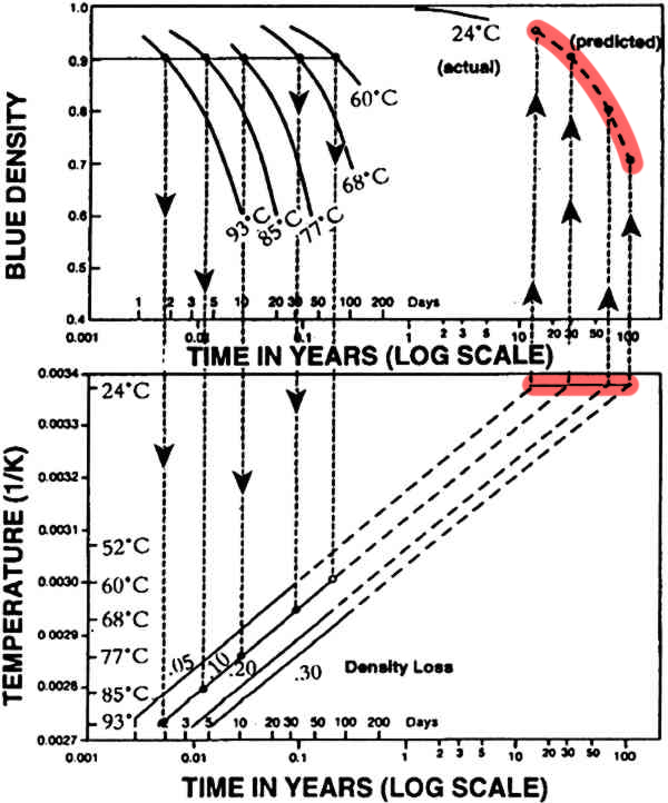 The density loss lines are extended to 24 degrees, and the result is plotted in a curved line at the top labeled 'predicted'.