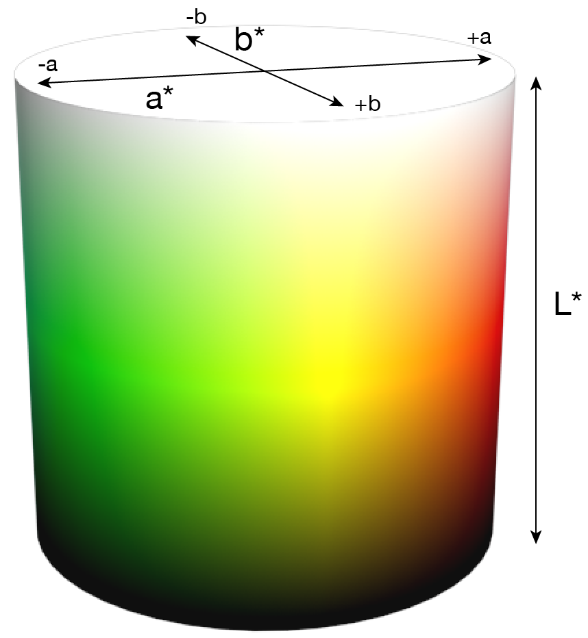 Diagram of a cylindrical color space with value running vertically and hue around the circumference, with arrows marking the L axis from bottom to top, and a and b perpendicular across the top