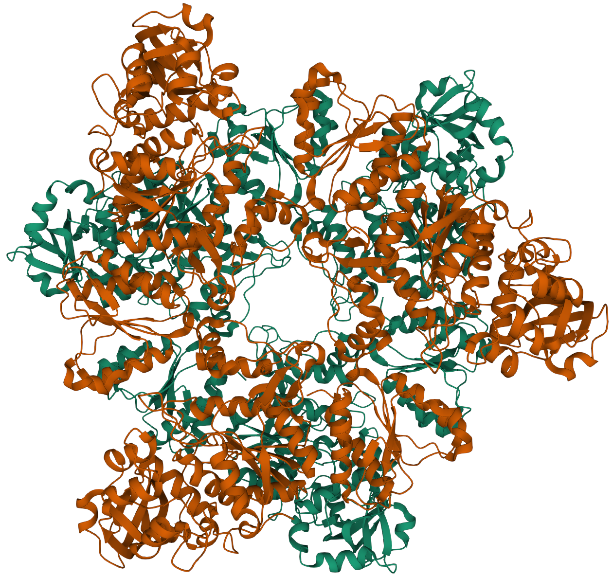 Abstraction of the quaternary structure of an enzyme
