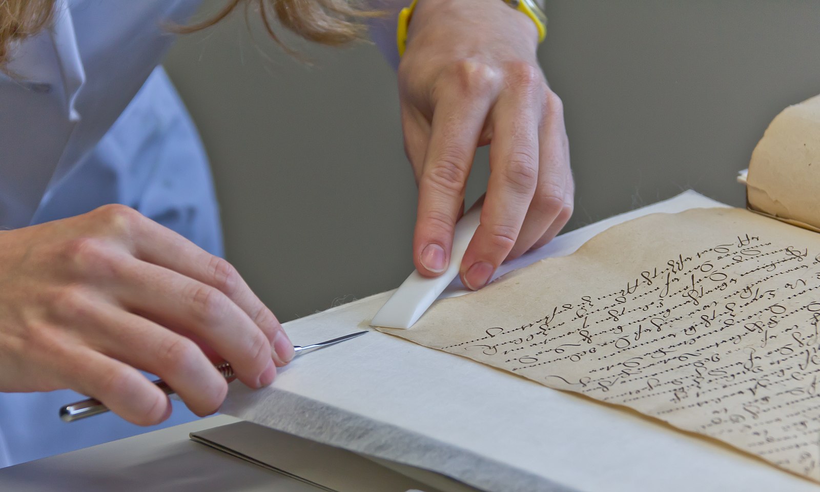 Photo of a conservator doing a paper repair © Raimond Spekking CC BY-SA 3.0 (via Wikimedia Commons)