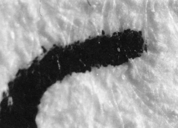 Micrograph