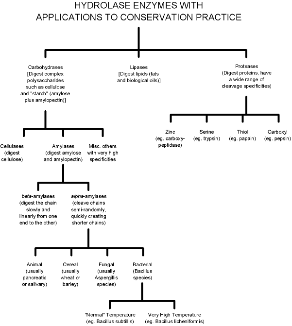 what ph does amylase work best at