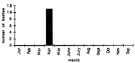 [Bar Graph 1]