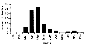 [Bar Graph 3]