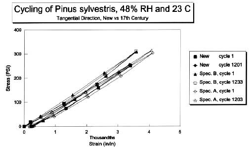 Pinus sylvestris Cycling Data