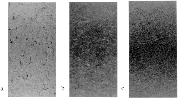 Comparative
substrates